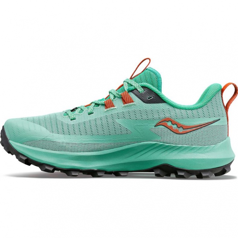 Tenis Trail Running Saucony Peregrine 13 Mujer Turquesa | COLOMBIA-IXQT